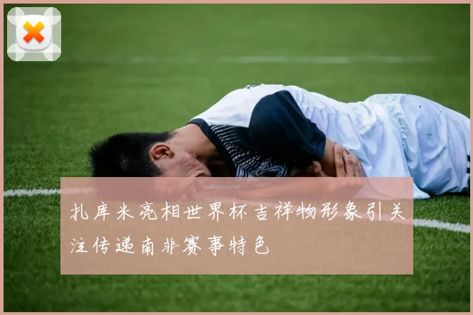 扎库米亮相世界杯吉祥物形象引关注传递南非赛事特色