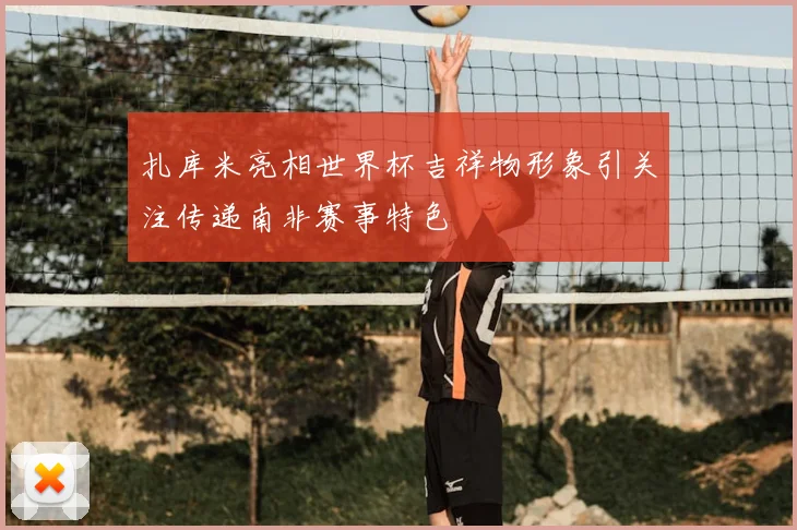 扎库米亮相世界杯吉祥物形象引关注传递南非赛事特色