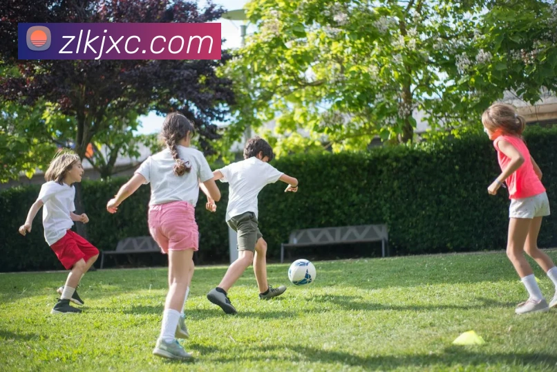 世界杯开户平台APP 封面图